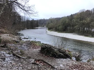 2024-11-21